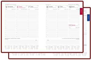 Calendário 644131